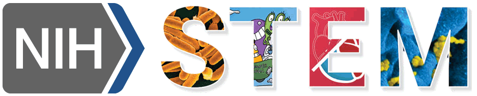 Large, colorful letters reading STEM