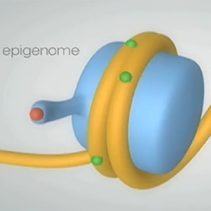 The Epigenome At a Glance icon