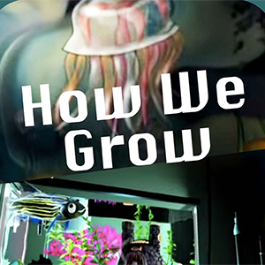 How We Grow icon