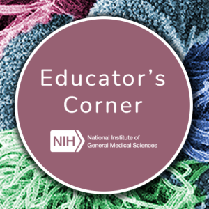 Educator's corner logo.