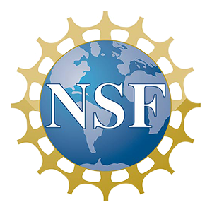 NSF Logo.