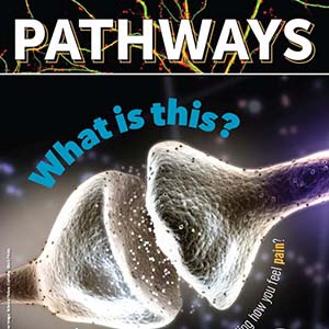 Pathways: The Brain and Anesthesia icon.