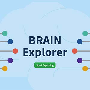 Screenshot of the NIH BRAIN interactive experience with text that reads, Brain Explorer, and a button that says, Start Exploring.