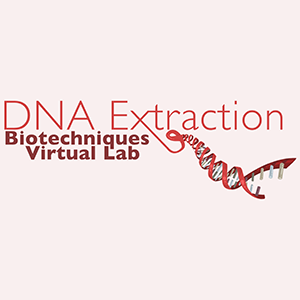 DNA double helix with accompanying text that reads: DNA Extraction, Biotechniques Virtual Lab.