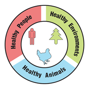 A circle with the phrases, Healthy People, Healthy Environment, and Healthy Animals, along with icons of a person, tree, and chicken.