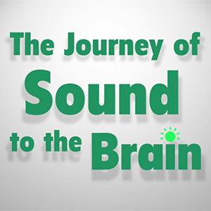 Large green text that reads, Journey of Sound to the Brain.