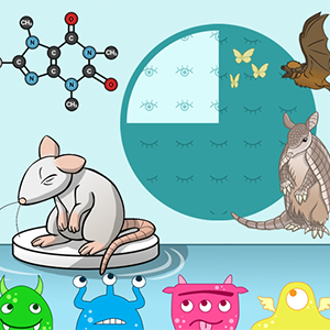 Illustration of a sleeping mouse with a chemical compound structure overhead, along with other various creatures surrounding the mouse.