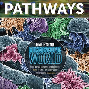 Cover of the imaging issue of Pathways magazine.