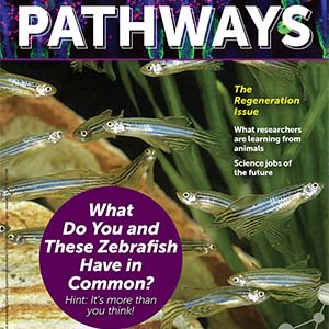 Cover of the regeneration issue of Pathways magazine.