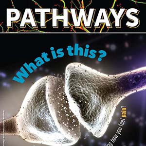 Cover of the brain and anesthesia issue of Pathways magazine.