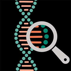 A magnifying glass up against a DNA double helix.