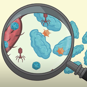 Illustration of a magnifying glass zooming in on viruses.